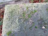 image of grave number 606958